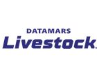 DML Datamars Livestock